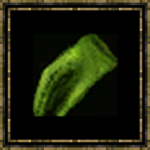 Gants en cuir vert
