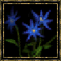 Bleussienne