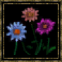 Chrysanthème