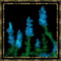 Lavande