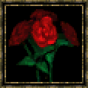 Rose rouge